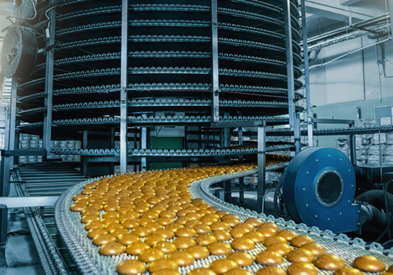 Pic03-Rubber-And-Conveyor-Belt-Industry-Consultants-Food-Conveyor-Belt